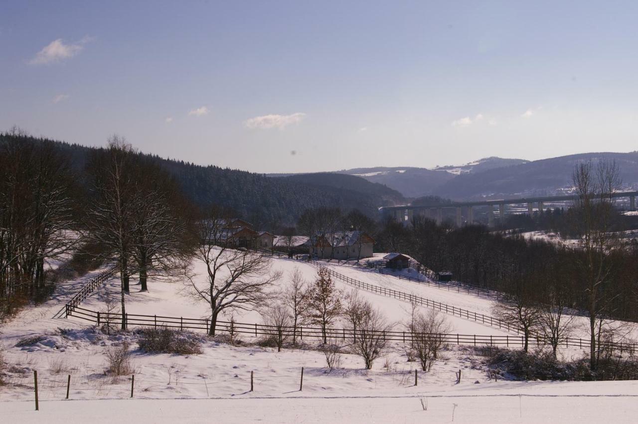 Reiterhof Und Pension Eichenhof Haiger Extérieur photo